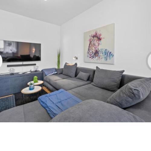 Apartman Arija-Pino