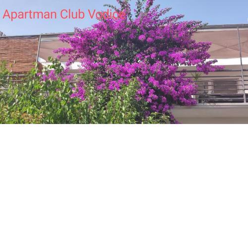 Apartman Club Vodice