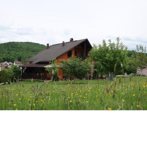 Apartman Jan ***