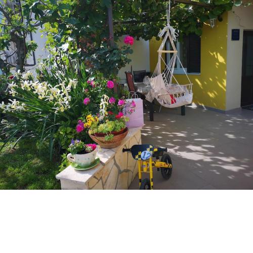 Apartman Mateo