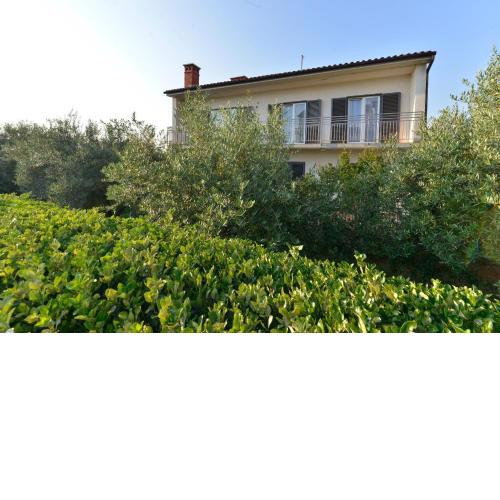 Apartman Meri Pula
