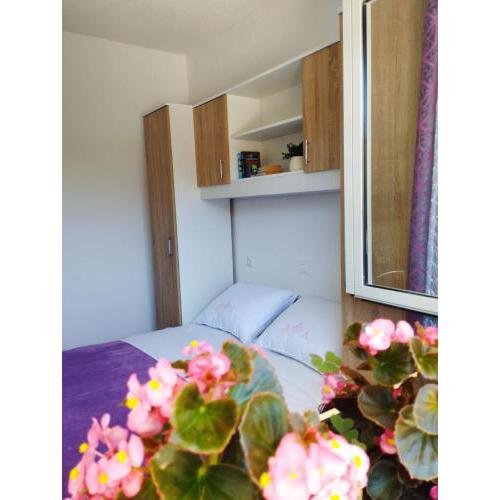 Apartman, studio and room Kata
