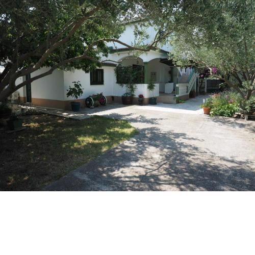Apartman Stura 1