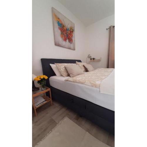 Apartmani Alma