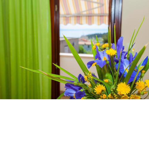 Apartmani Centar Makarska