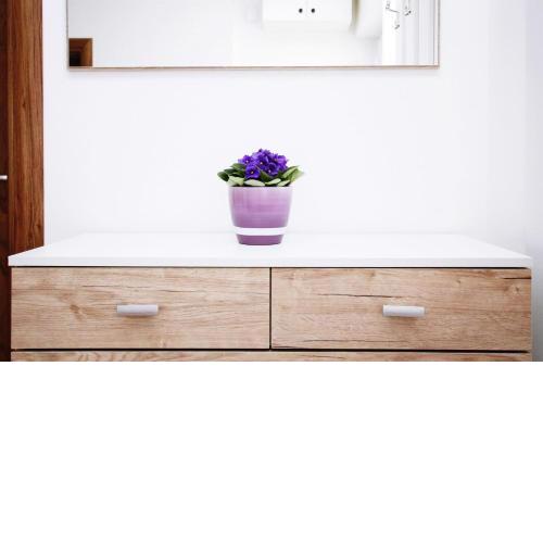 Apartment Anica