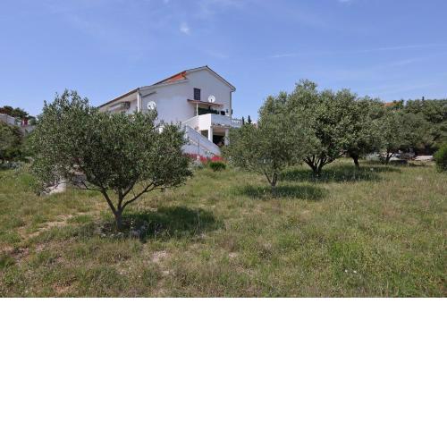 Apartment Barbat 14247c