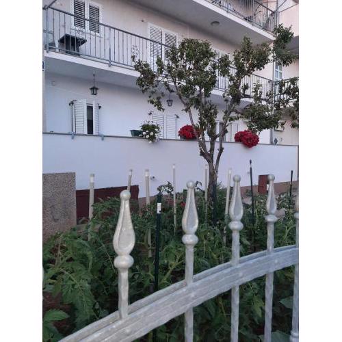 Apartment Bracic