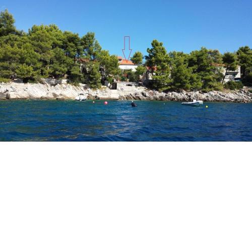 Apartment Coraline on Korcula, seafront