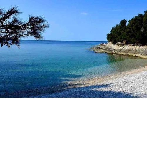 Apartment Damir 50 meters from the beach