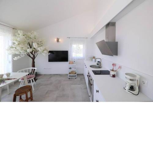 Apartment Fiorino
