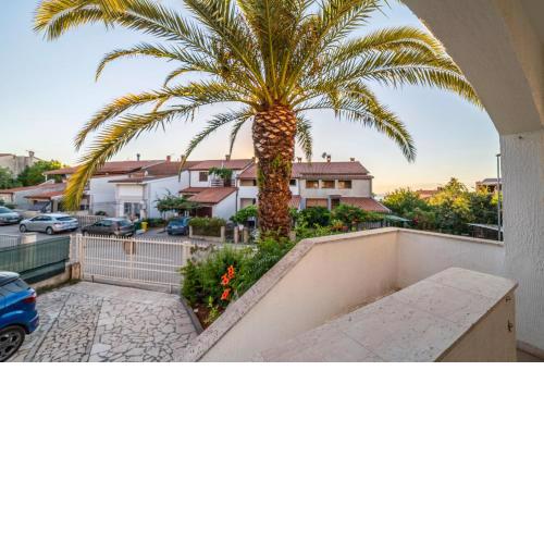 Apartment Goga