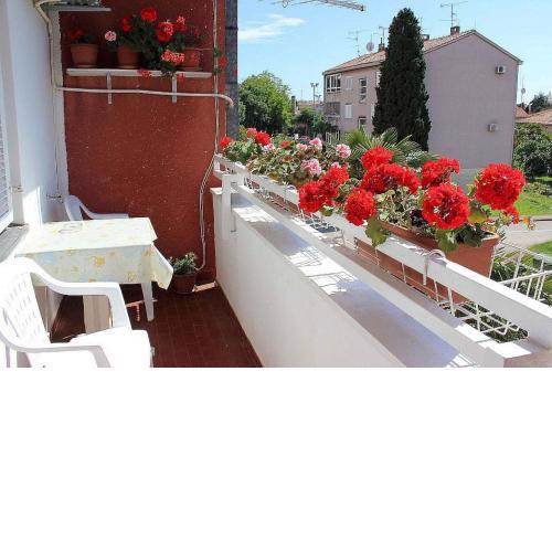 Apartment in Porec/Istrien 10436