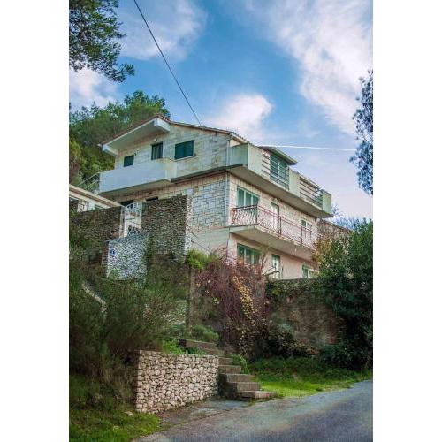 Apartment in Pucisca/Insel Brac 5972