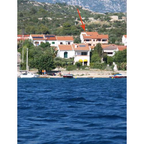 Apartment in Rab/Insel Rab 16217