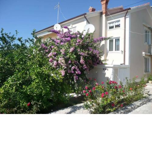 Apartment in Rab/Insel Rab 16489