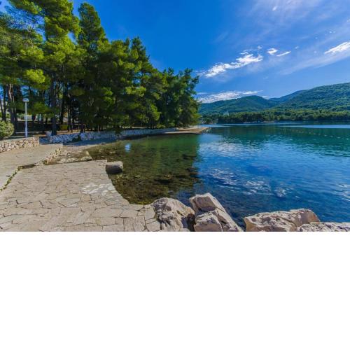 Apartment in Stari Grad (Hvar) with Balcony, Air condition, WIFI, Dishwasher (3695-1)