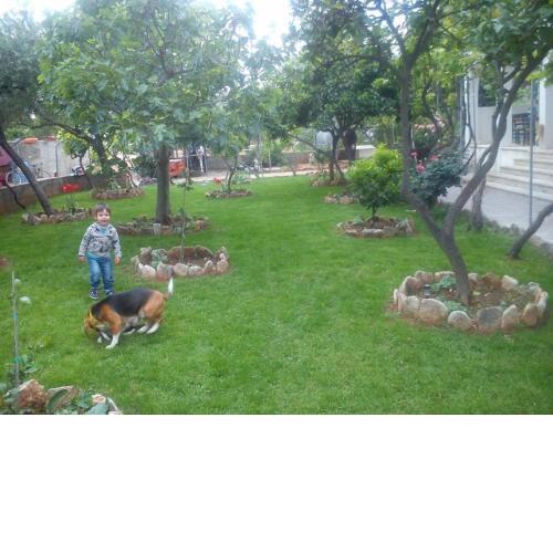Apartment in Sucuraj with sea view, balcony, air conditioning, WiFi 3560-1