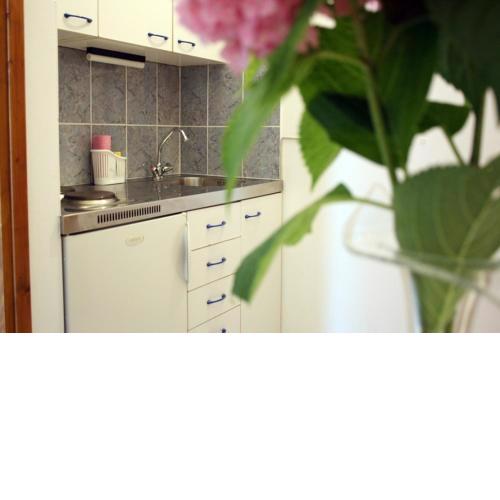 Apartment in Vodice with sea view, balcony, air conditioning, WiFi 612-1