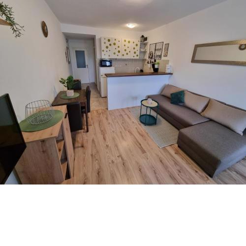 Apartment IVANA