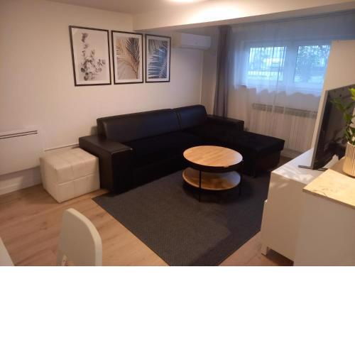 Apartment Lenchy 2