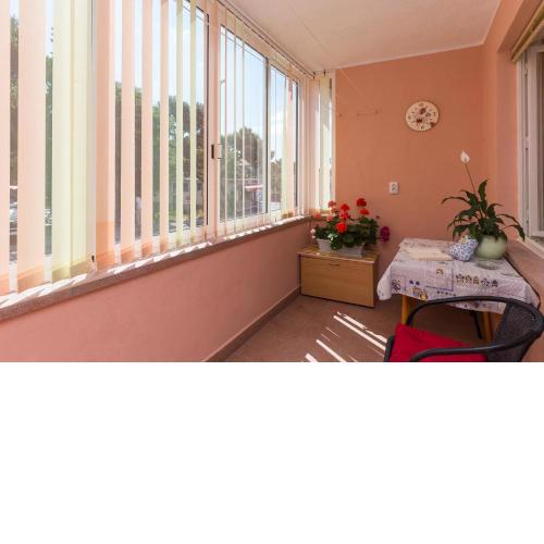 Apartment Lolo
