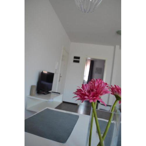 Apartment Meli