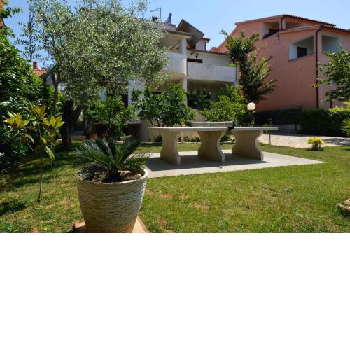 Apartment Pjescana Uvala/Istrien 11401