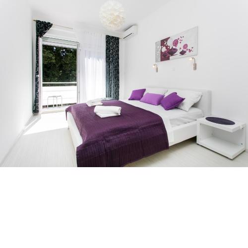 Apartment Purple Magic