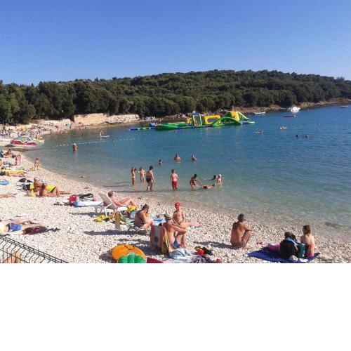 Apartments Alen Pula