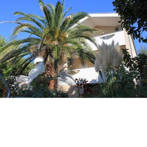 Apartments Ante
