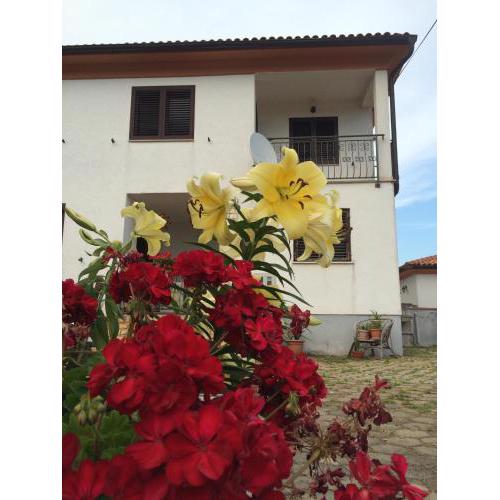 Apartments Bodi