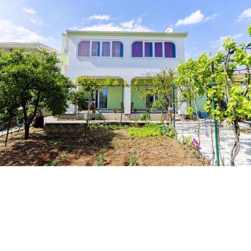 Apartments Branka