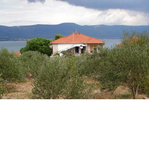 Apartments by the sea Arbanija, Ciovo - 9423