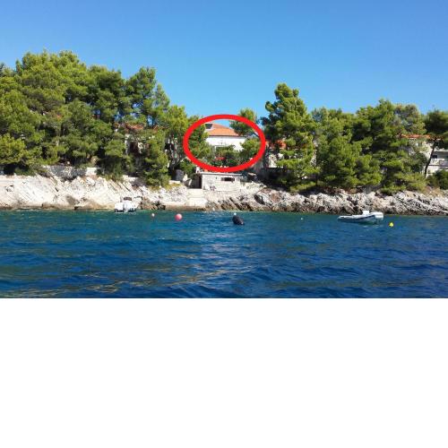 Apartments by the sea Brna, Korcula - 9296