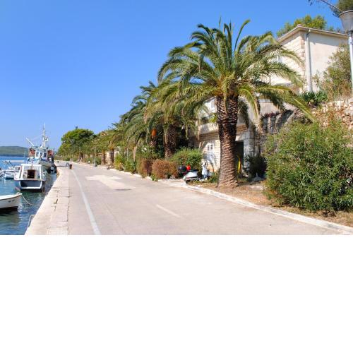 Apartments by the sea Milna, Brac - 733