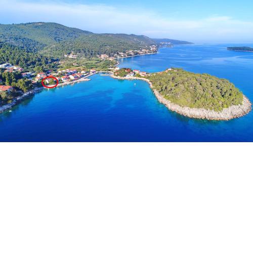Apartments by the sea Prizba, Korcula - 4484