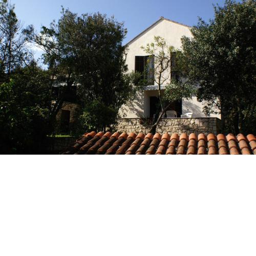 Apartments by the sea Zrnovska Banja, Korcula - 3154