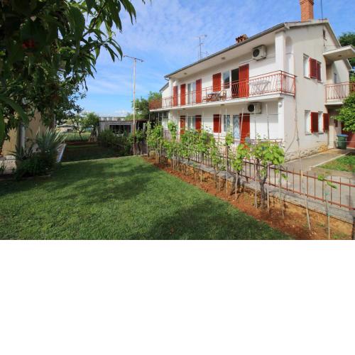Apartments Franjo near center