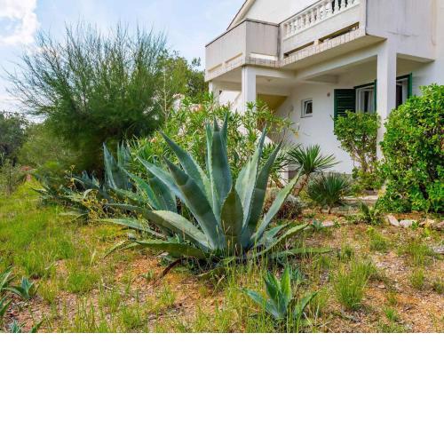 Apartments in Barbat/Insel Rab 17610