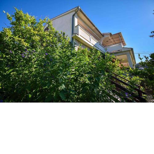 Apartments in Palit - Insel Rab 17812