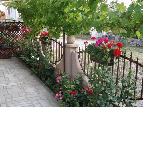 Apartments Lalic