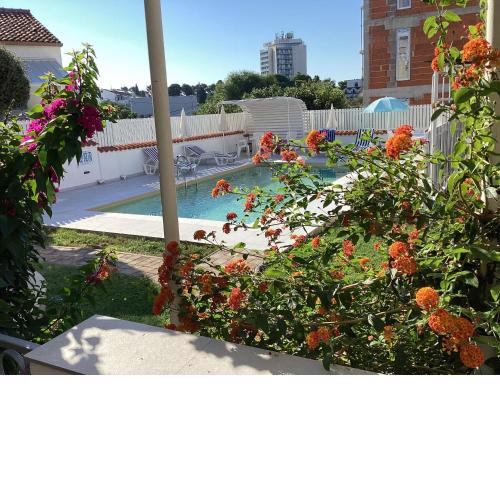 Apartments Manda
