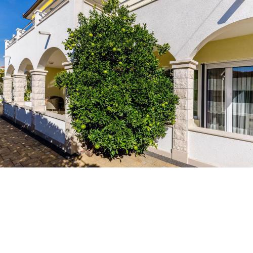 Apartments Palm tree