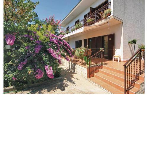 Apartments Perina