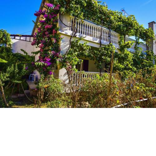 Apartments Snjeza
