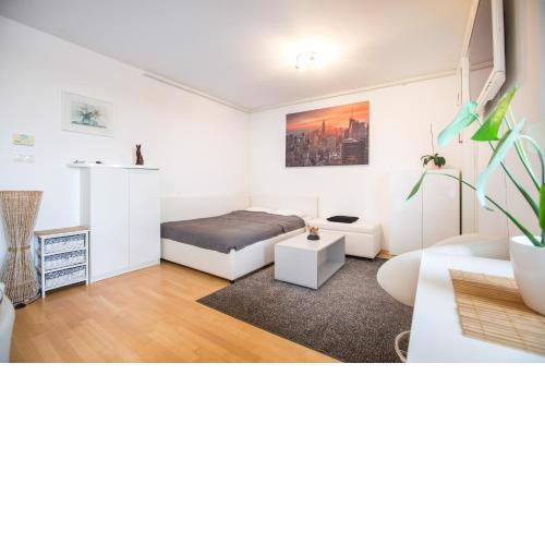 Cozy & Modern Studio with Balcony