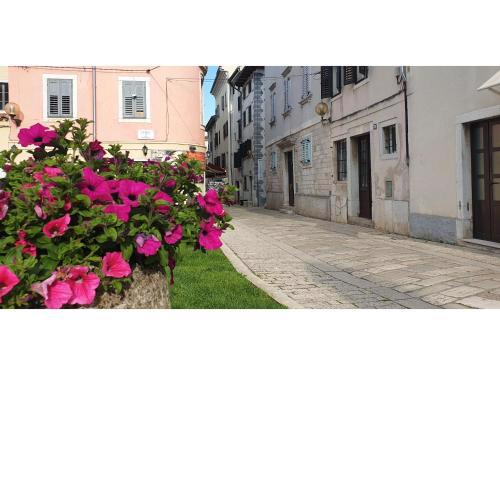 Eufrasiana Apartments