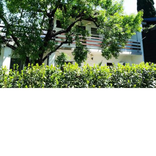 Felix Apartment Biograd