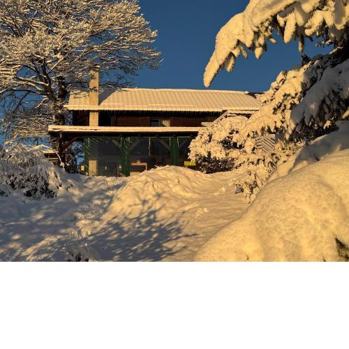 Guest House Lagotto's Peak
